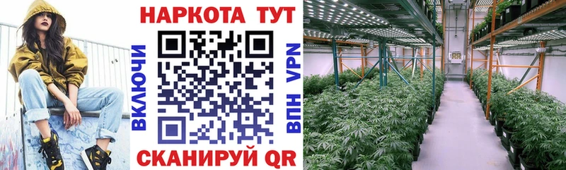 Купить наркоту Гдов КОКАИН  Лсд 25  Канабис  Гашиш 