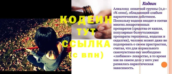 сатива Аркадак